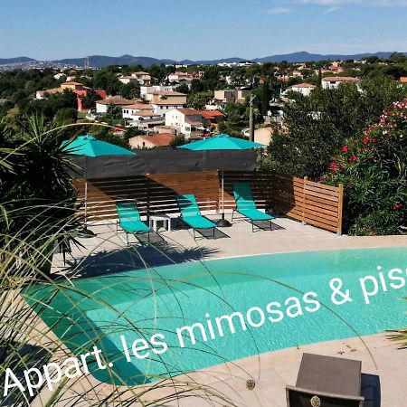 Mimosas - Villa Fréjus Exteriér fotografie